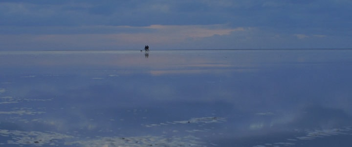 Regine Steenbock