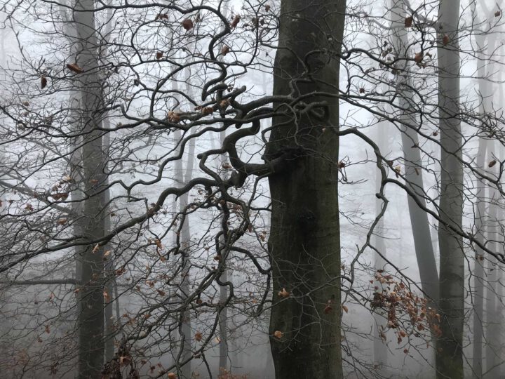 heinrich-das-letzte-mal