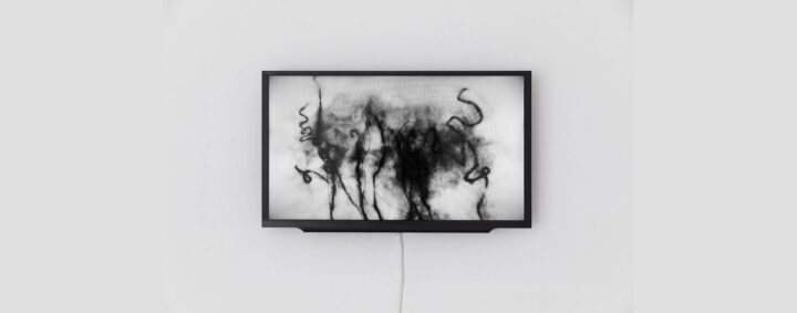Kiera O'Tole, Ankündigungsfoto Frise Ausstellung