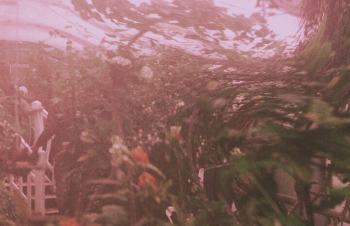 The Fisherman(Part 1)