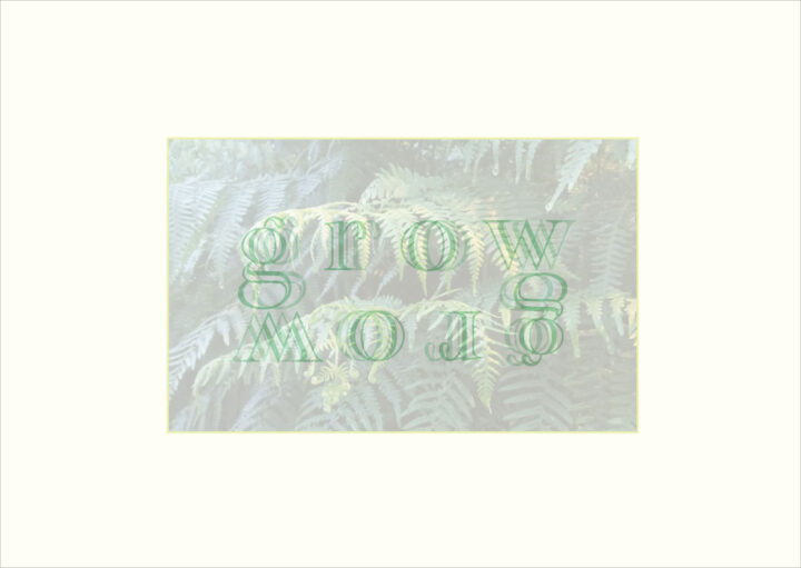 Motiv für die Einladung zur Frise Ausstellung GROW. Grüne Typographie auf einem Transparenten Foto mit Farnen