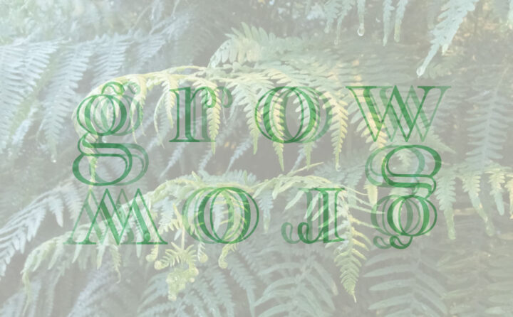 Einladungsmotiv für die Frise-Ausstellung Grow. Mit Farnen im Hintergrund und dem Wort Grow. In Hellgrün