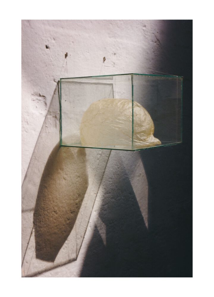 Doris SchneiderMich von innen sehen