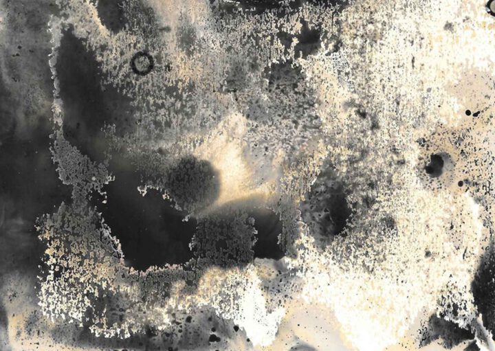 psycho-gardening-Motiv von Frank Brovira für die Ausstellung in der Frise