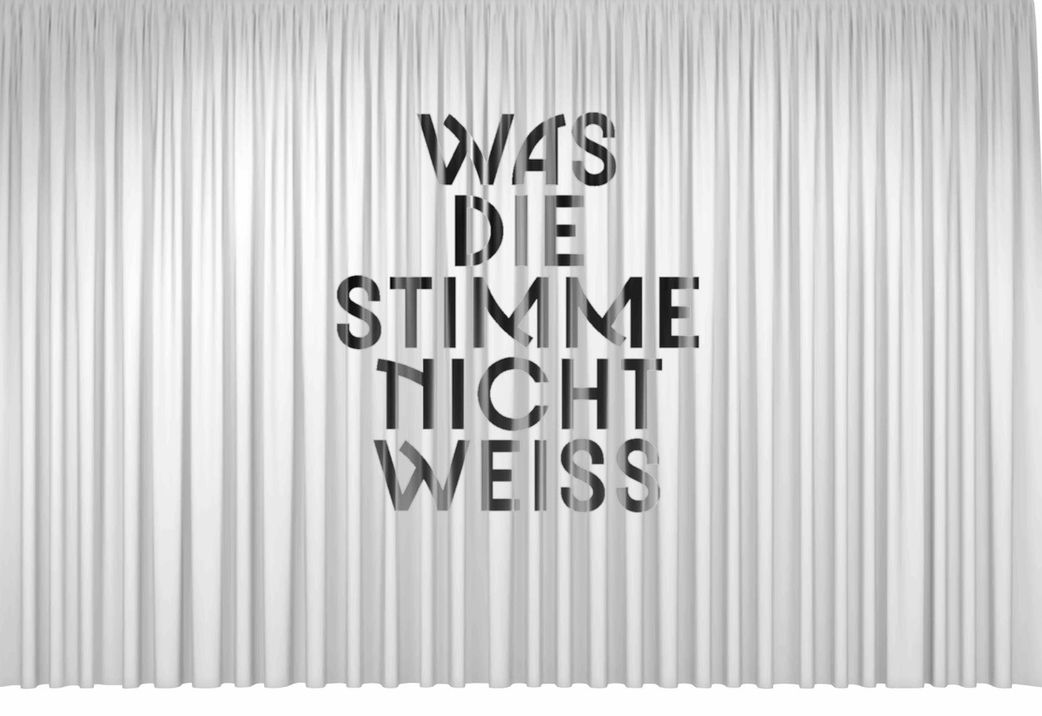 Was Die Stimme Nicht Weiss,Was Die Stimme Nicht Weiss, Performanceabend
Maja Bogumila Hoffmann, Christian F. Kintz,
Dirk Meinzer, Matthias Meyer, Regine Steenbock